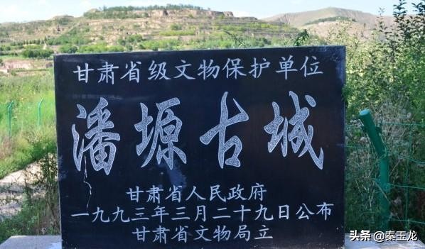 唐朝薛仁贵郭子仪,郭子仪平凉