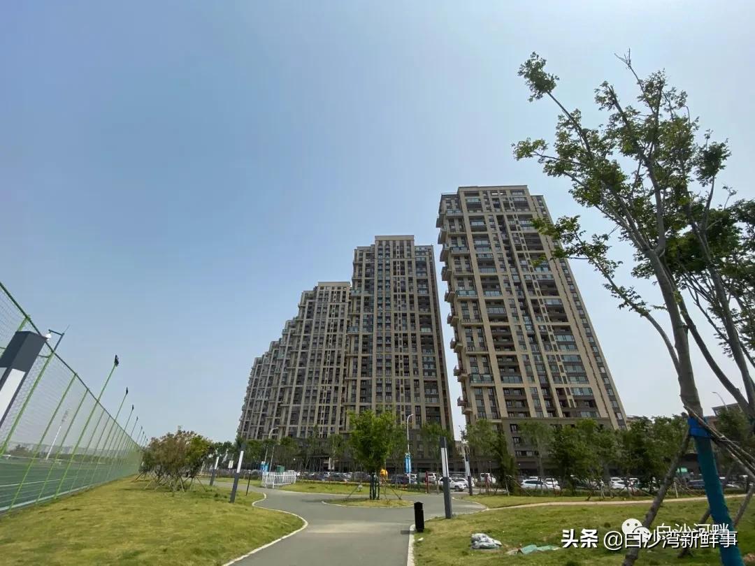 青岛城阳白沙湾足球公园,青岛白沙湾足球基地在修建什么