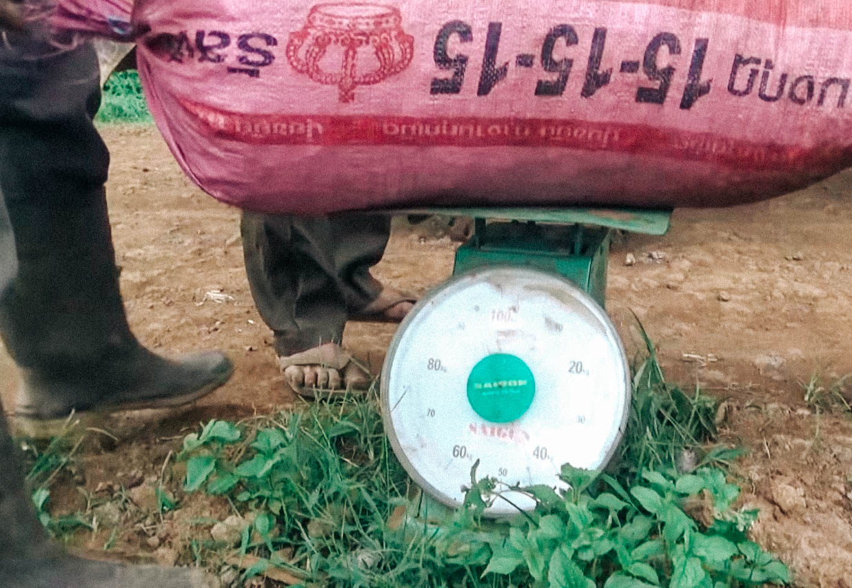 老挝中资工厂工资,老挝华人咖啡工厂