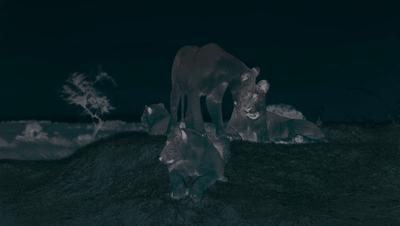 豆瓣netflix电影,bbc地球奇观纪录片