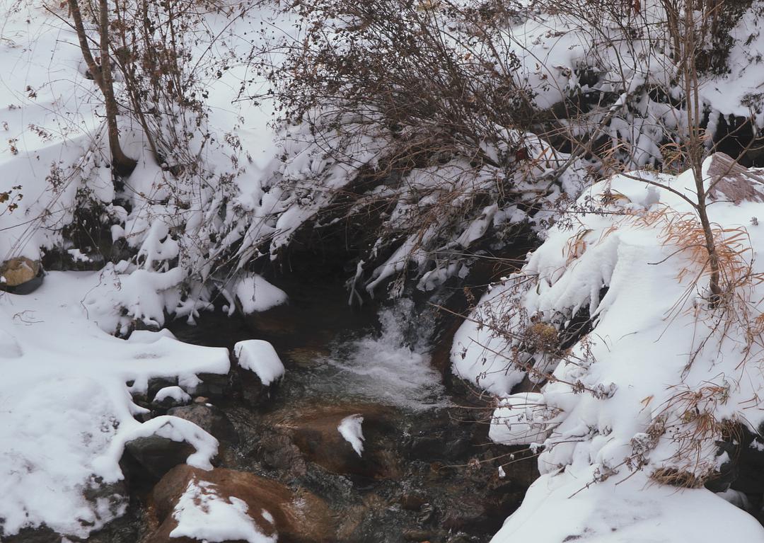 冬日雪景的诗句,黄山冬日雪景有关诗句