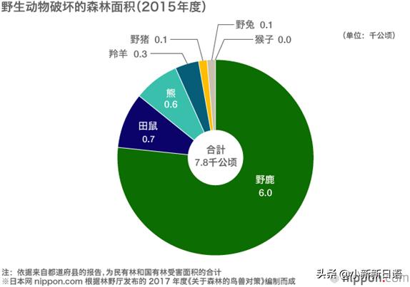 日本人为什么爱吃板栗,日本人为什么爱吃鱼
