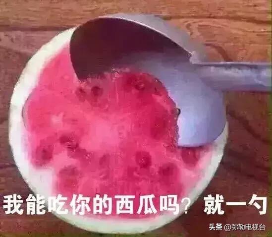 弥勒千亩西瓜熟了！黄心瓜、红心瓜、小香瓜…你喜欢哪种？