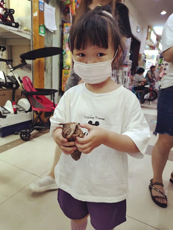 奥特曼卡片是雷霆还是黑钻版,奥特曼卡片到底要不要买呢