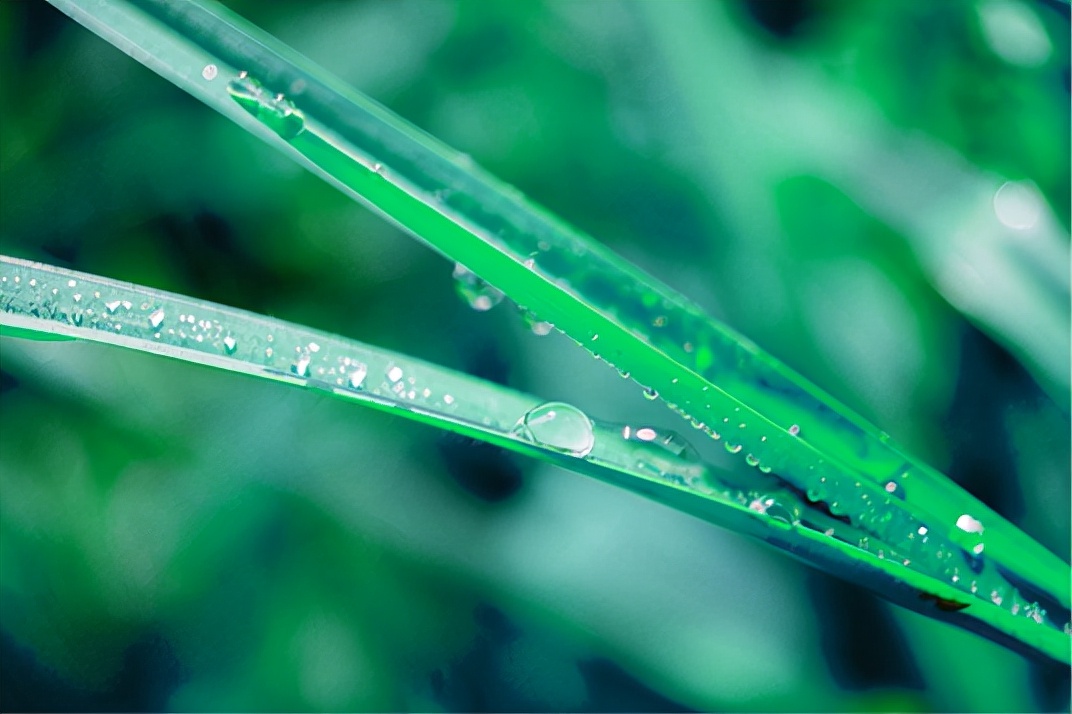 环境保护书籍跟读,6本帮助你走向心智成熟的好书