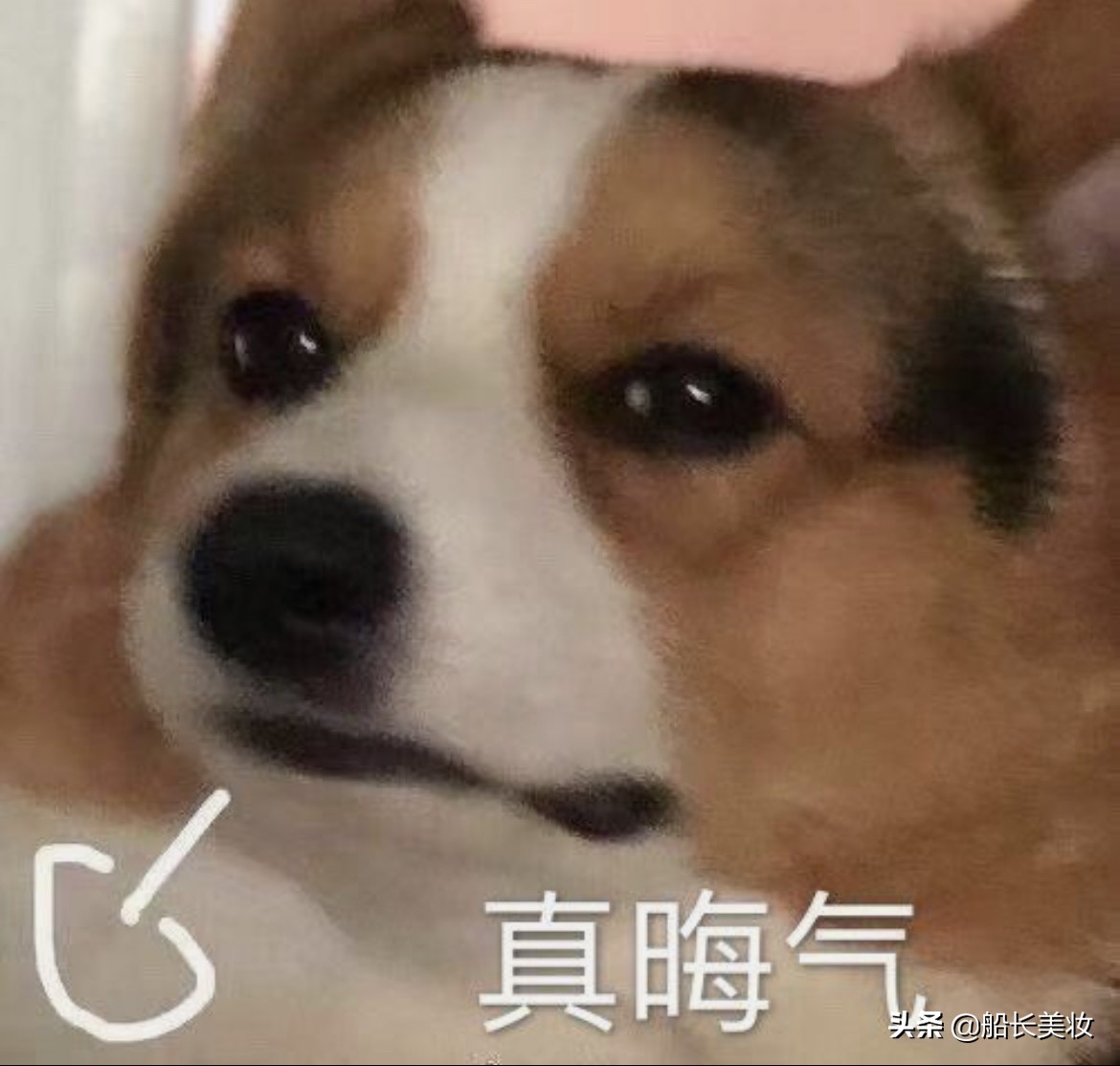 感情真心话大冒险问题100条,真心话大冒险100道致命问题