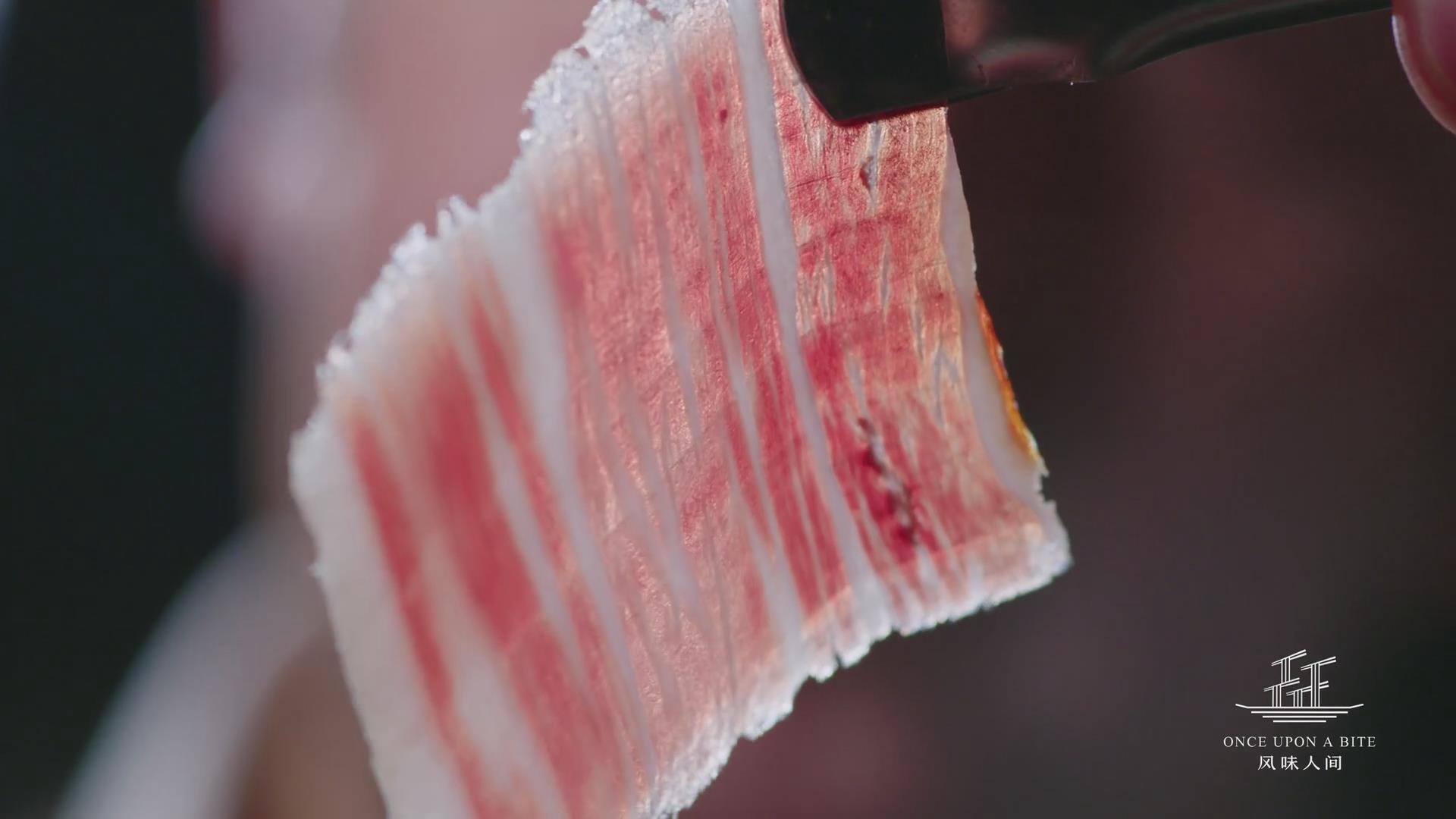 腾讯最新纪录片，记录人与毒宠的相爱相杀，堪称开年第一！