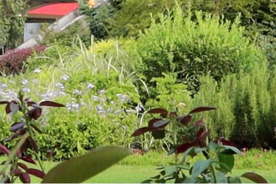 浣宠兘powershotg5xmarkii缂虹偣,浣宠兘powershotg5xmarkiii