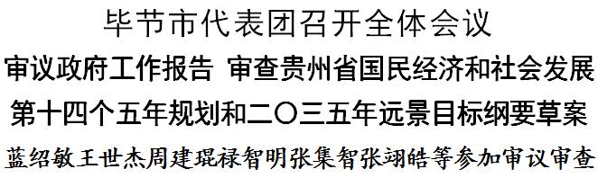 毕节市代表大会,毕节市人大会议黔西代表团视频