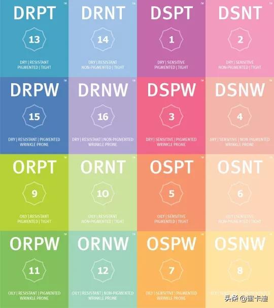 全部皮肤知识大全,四张图让你明白你是什么皮肤