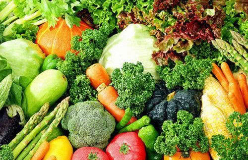 柯基拉屎拉一点点怎么回事