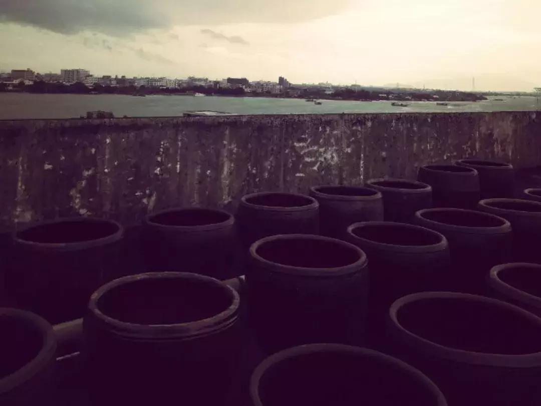 不用放味精就能提鲜的盐,不用味精鸡精用什么提鲜