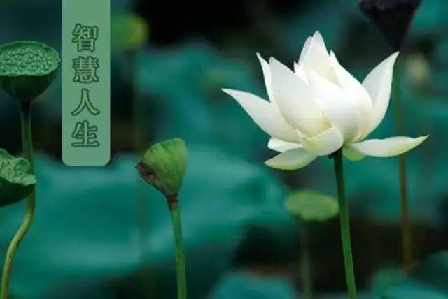 面试了100个美工之后，我发现魔幻的审美就在身边！