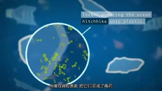 化妆品里竟然含有塑料？