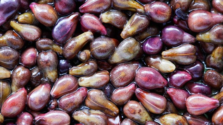 葡萄籽胶原蛋白淡斑,平价美白葡萄籽