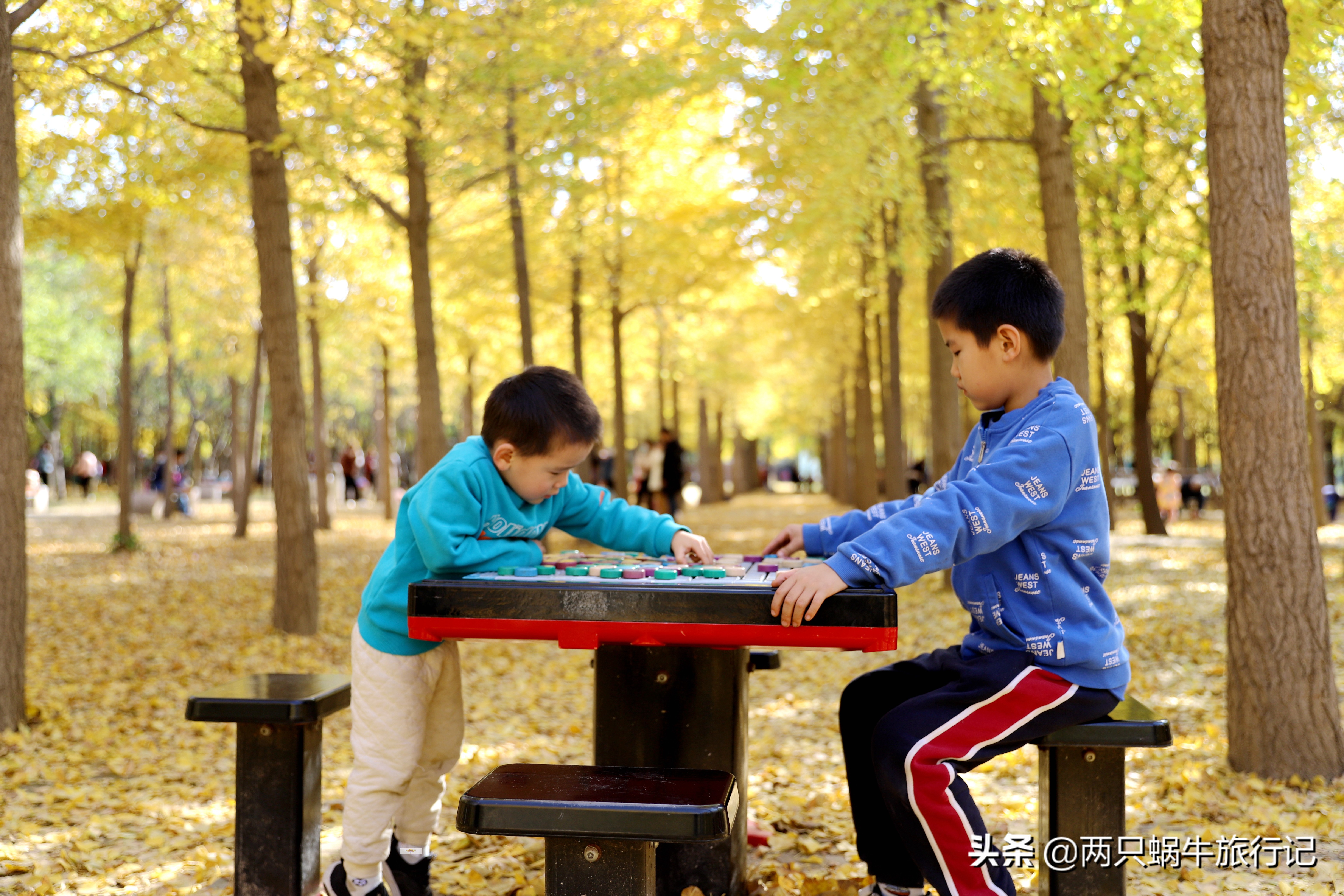 调色盘树林,调色盘景色