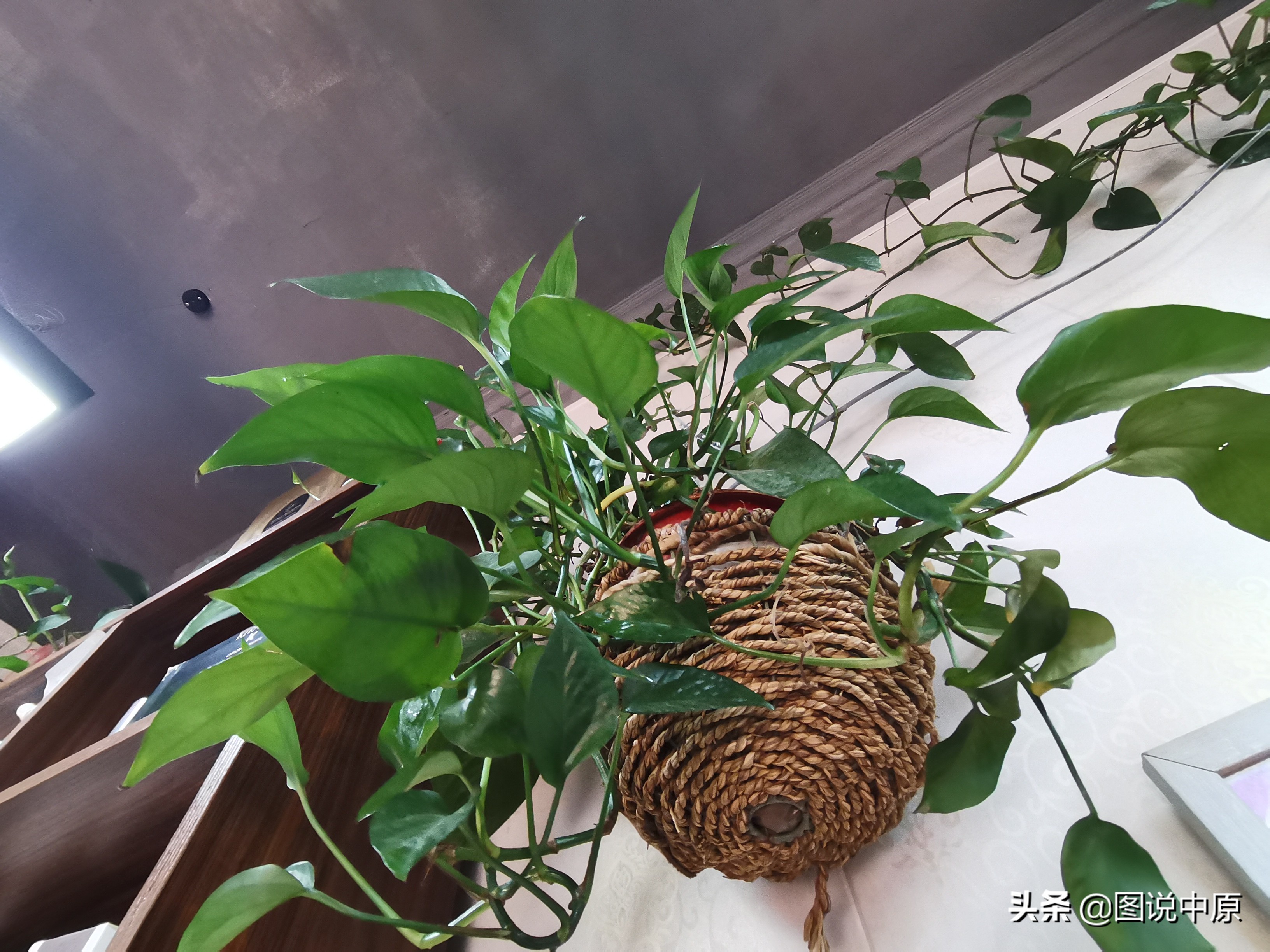 做美发赌博输光欠债如何翻身,我是一名美发师视频