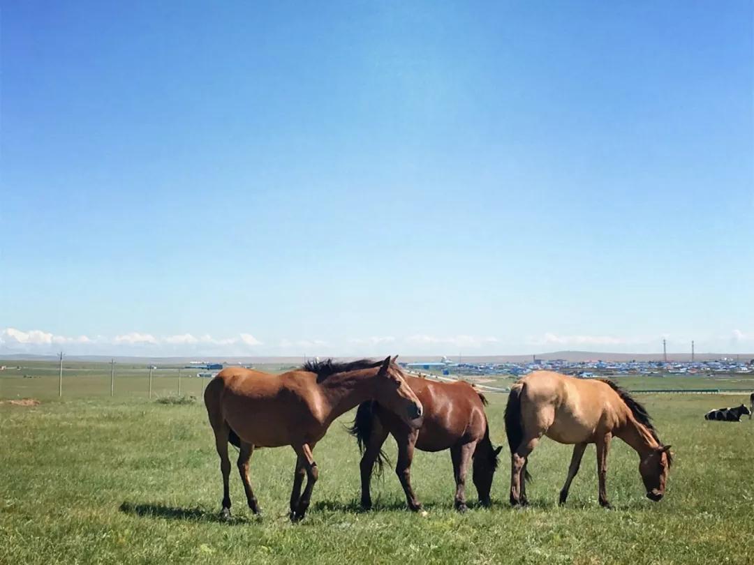等疫情结束了和我一起去旅游吧,等疫情结束了我就带你去玩