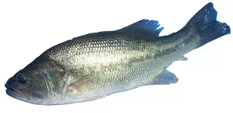 婴儿零食配料表有什么不可以吃的 (宝宝辅食零食必须现做现吃吗)