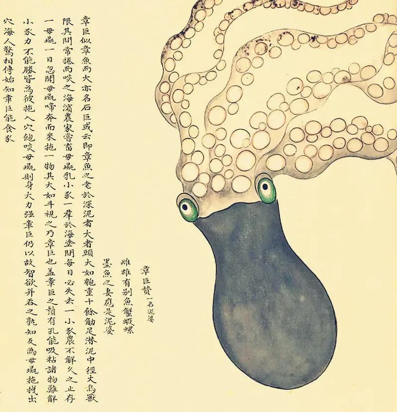 故宫烧脑奇书,故宫恐怖小说