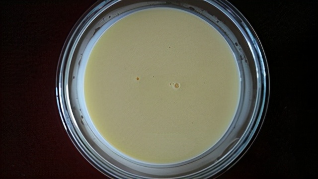 酸奶冰激凌的做法商用,酸奶冰激凌的做法