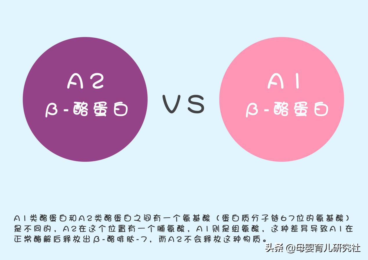 星飞帆a2和a2酪蛋白,a2奶粉怎么样澳洲新版测评