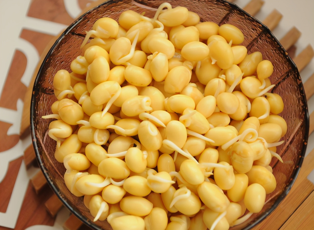 学会这个方法再也不用买豆芽了,发豆芽小技巧让你再也不用出去买