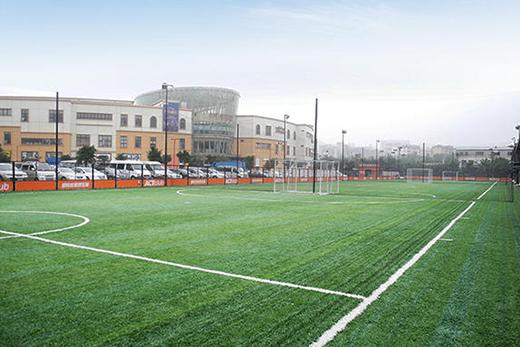 中国踢一场球要交多少钱,深度游中国大概多少钱