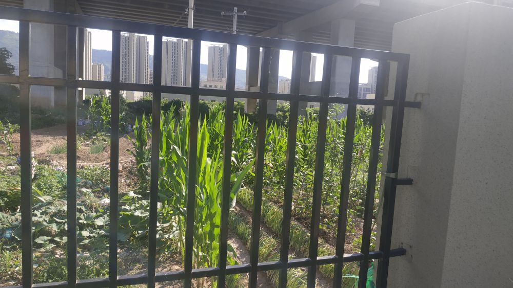 西安教育联合体名单,西安庆华中学和23中