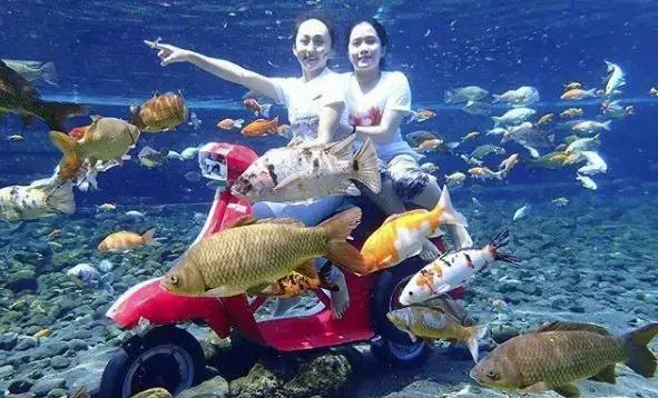 乡下小池塘,乡村里面的小池塘