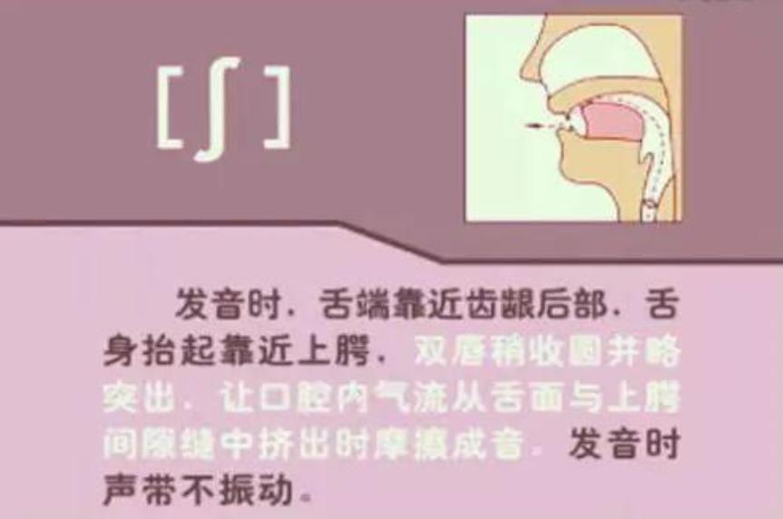 英语音标学习英式美式,英语音标发音教程零基础