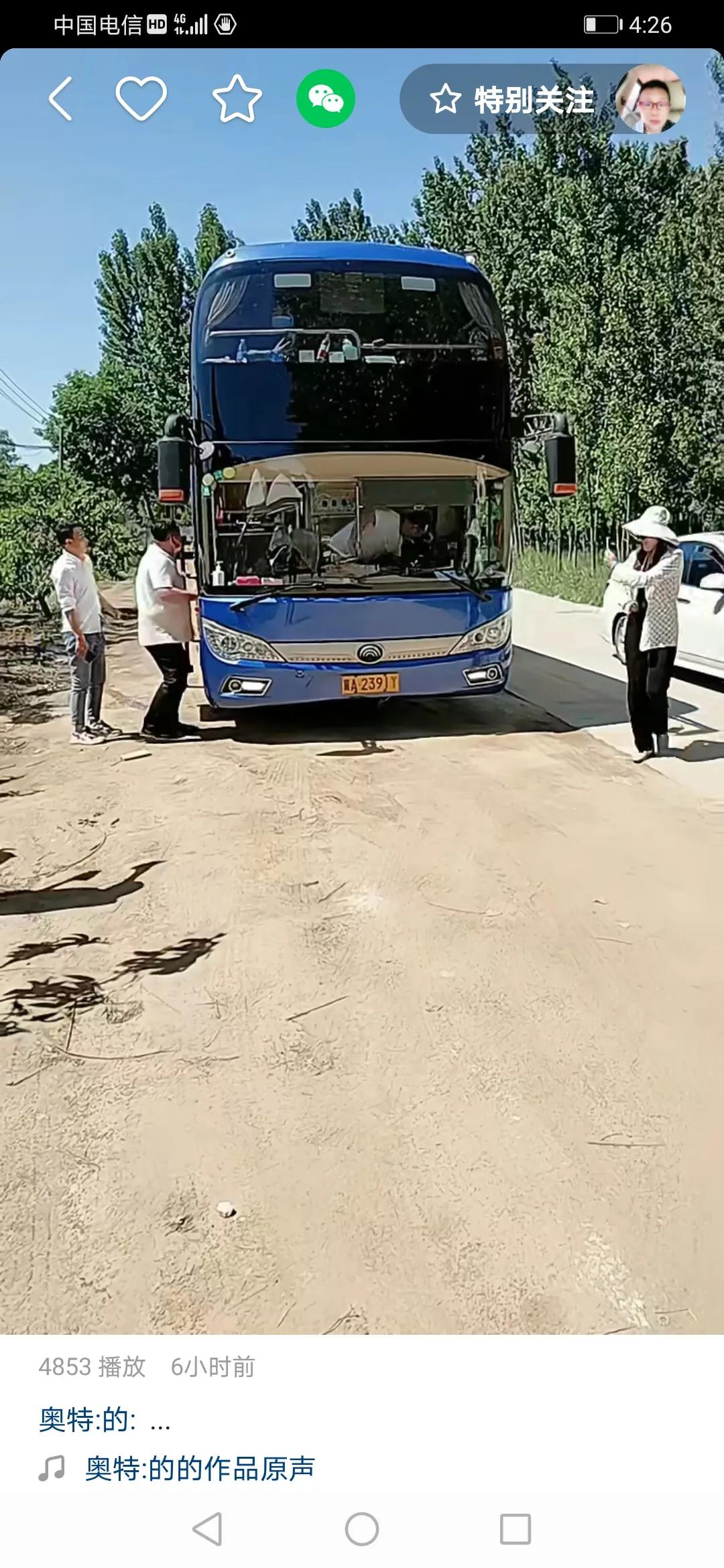 杨树行村番外篇24：善缘静一驾接归回村人，旅行团群聚共享山乡情