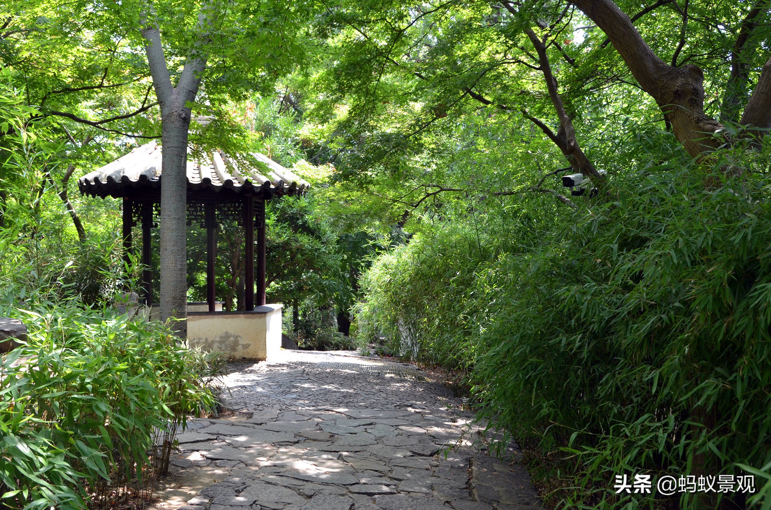 留园建筑布局照片,留园建筑景观内容