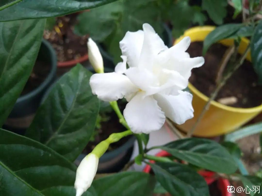 教你如何避开假货买到真品,一张图告诉你怎样分辨假货