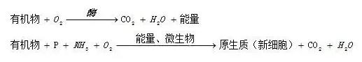 「干货收藏」硝化、反硝化系统详解