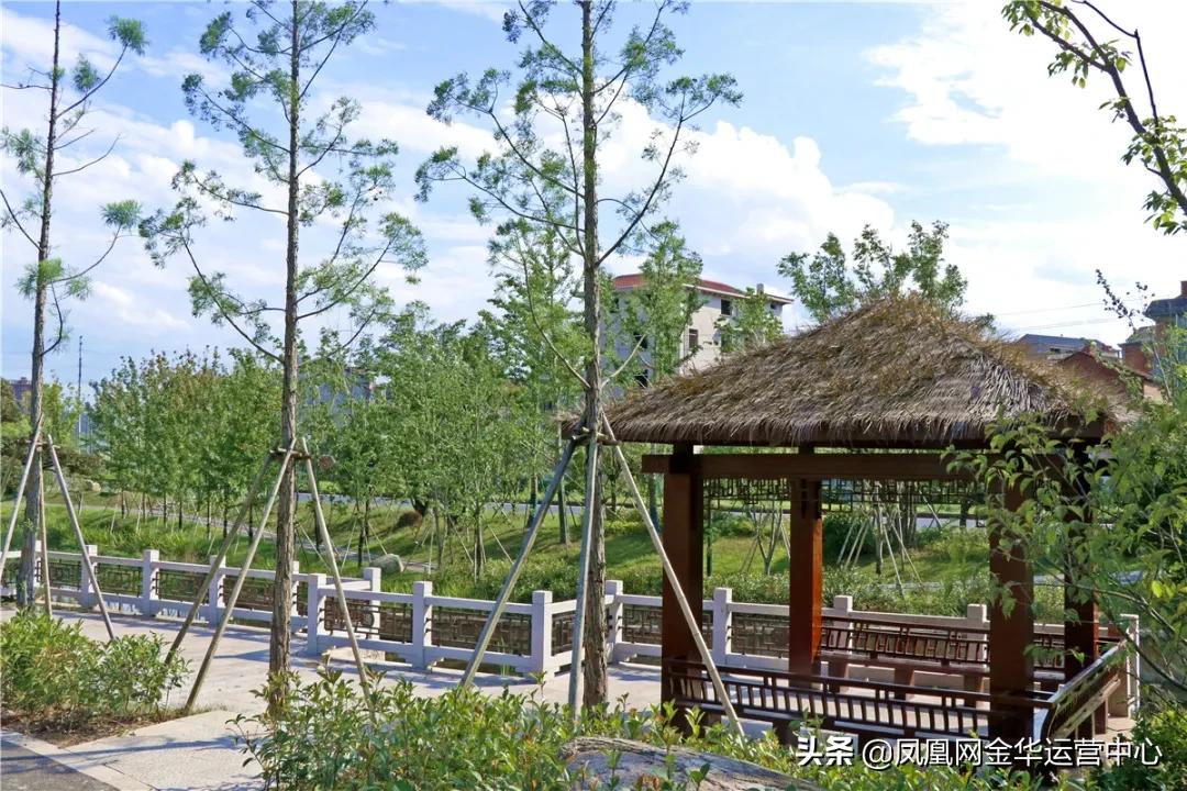 金华新狮街道花木之窗,婺城花木之窗