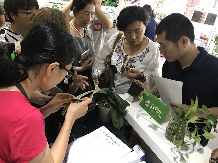 植物生病药怎么用,家里的植物病怎么治