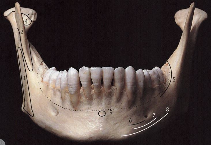 华晨宇的下巴,削下颌骨的华晨宇