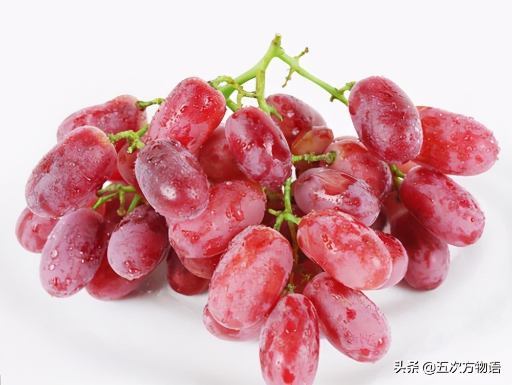 凤梨就是菠萝吗,凤梨就是番荔枝吗