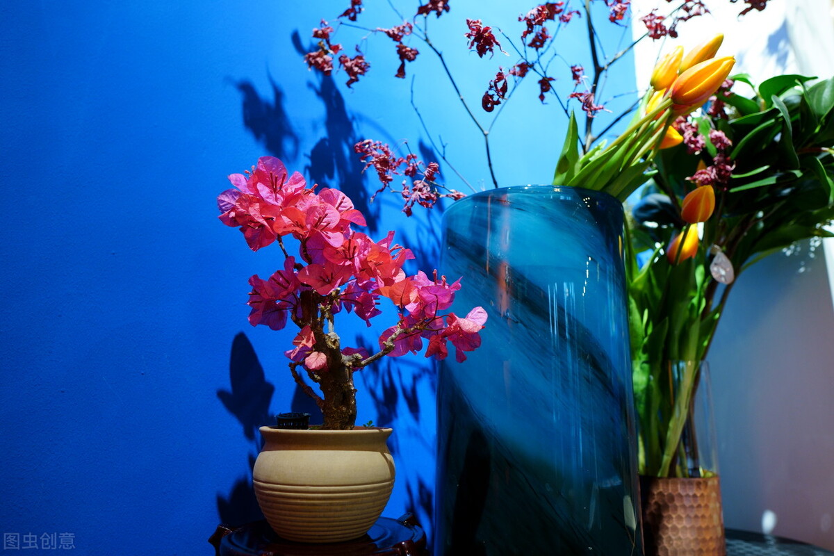 这三种花越养越值钱,这三种花千万不要养在家里