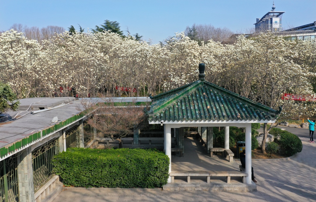 济南值得打卡的公园,好玩的泉城公园