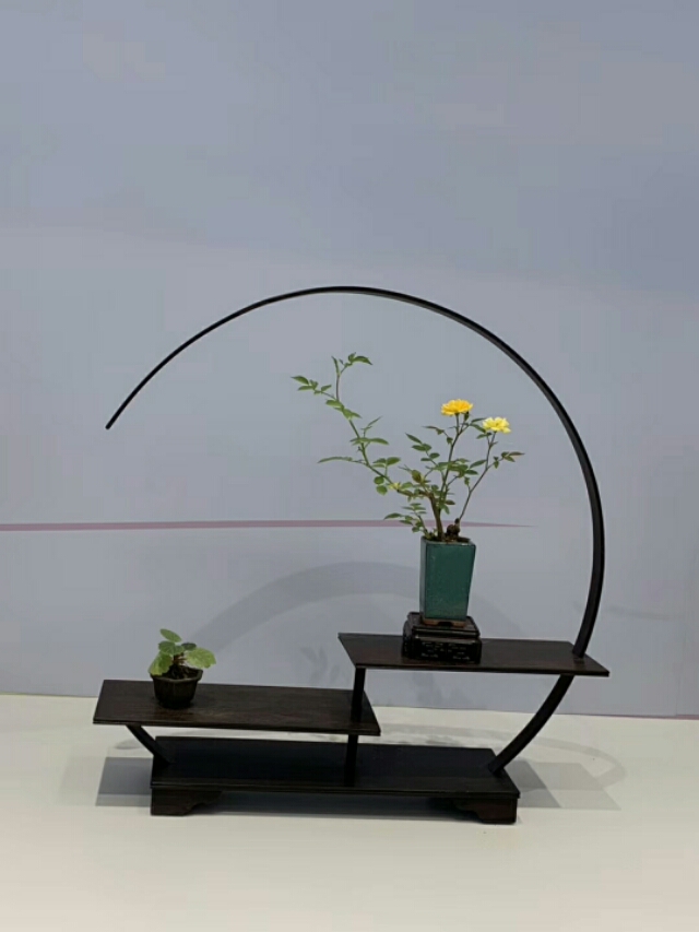 巜以苏轼之名,品味宋代极致美学》——王伟书法之十五