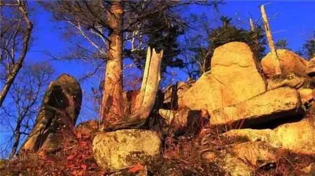 哈尔滨自驾三亚边走边玩最佳路线,哈尔滨到漠河自驾旅游攻略10天