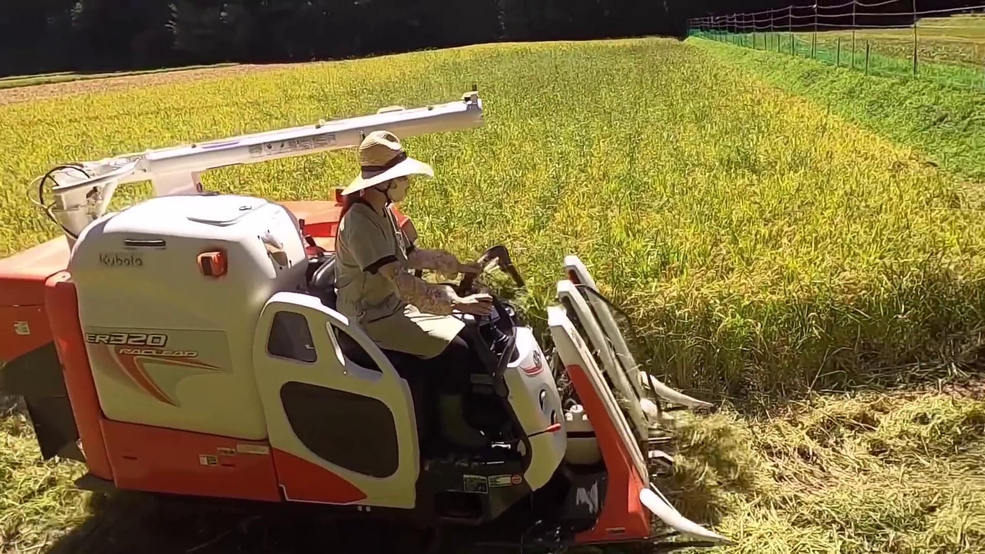 久保田230小型水稻收割机,小型久保田收割机2023新款价目表