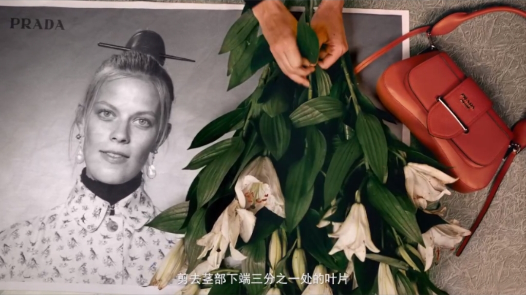 女王节，Prada鲜花让时尚破格融入日常
