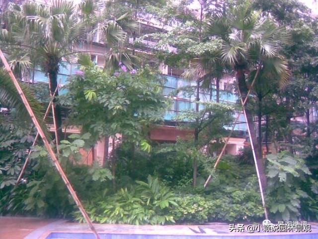 住宅小区植物配置方案,植物种植小技巧一览表图