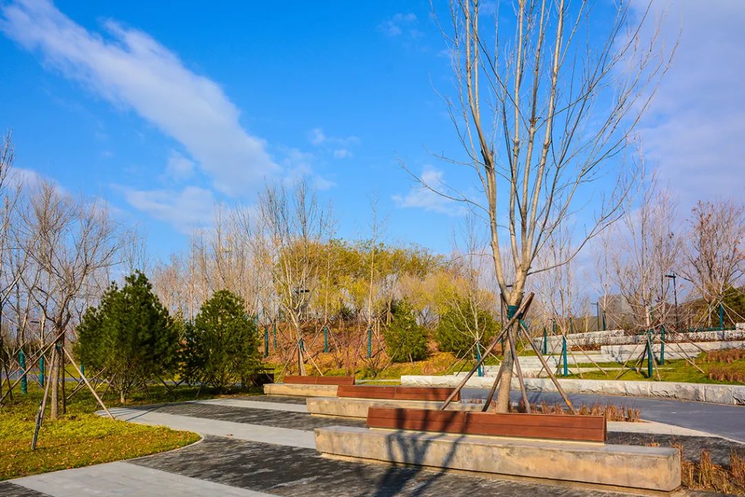 北京新开40个公园在哪里,北京十佳公园