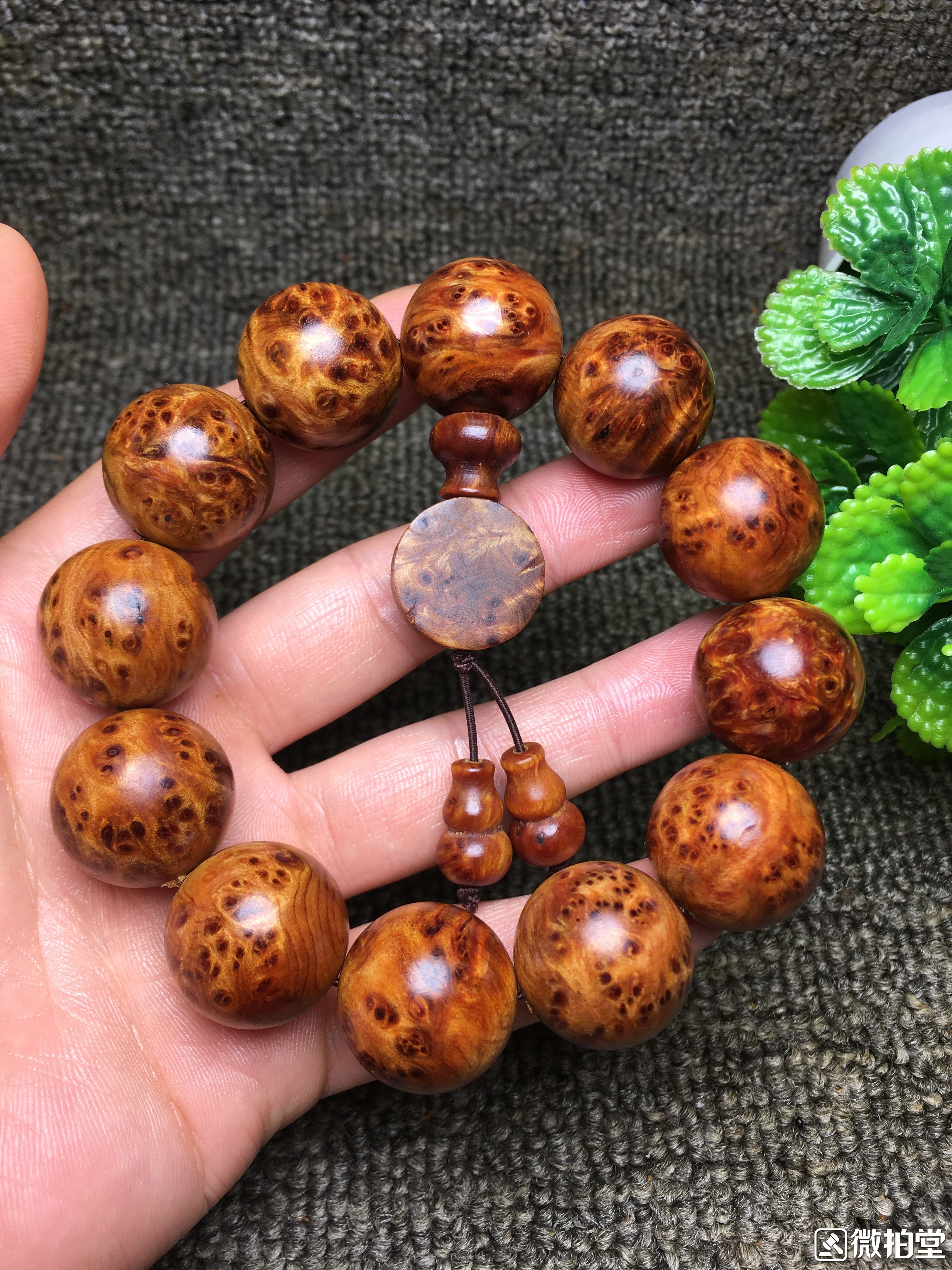 崖柏檀香沉香区别,沉香好还是崖柏好