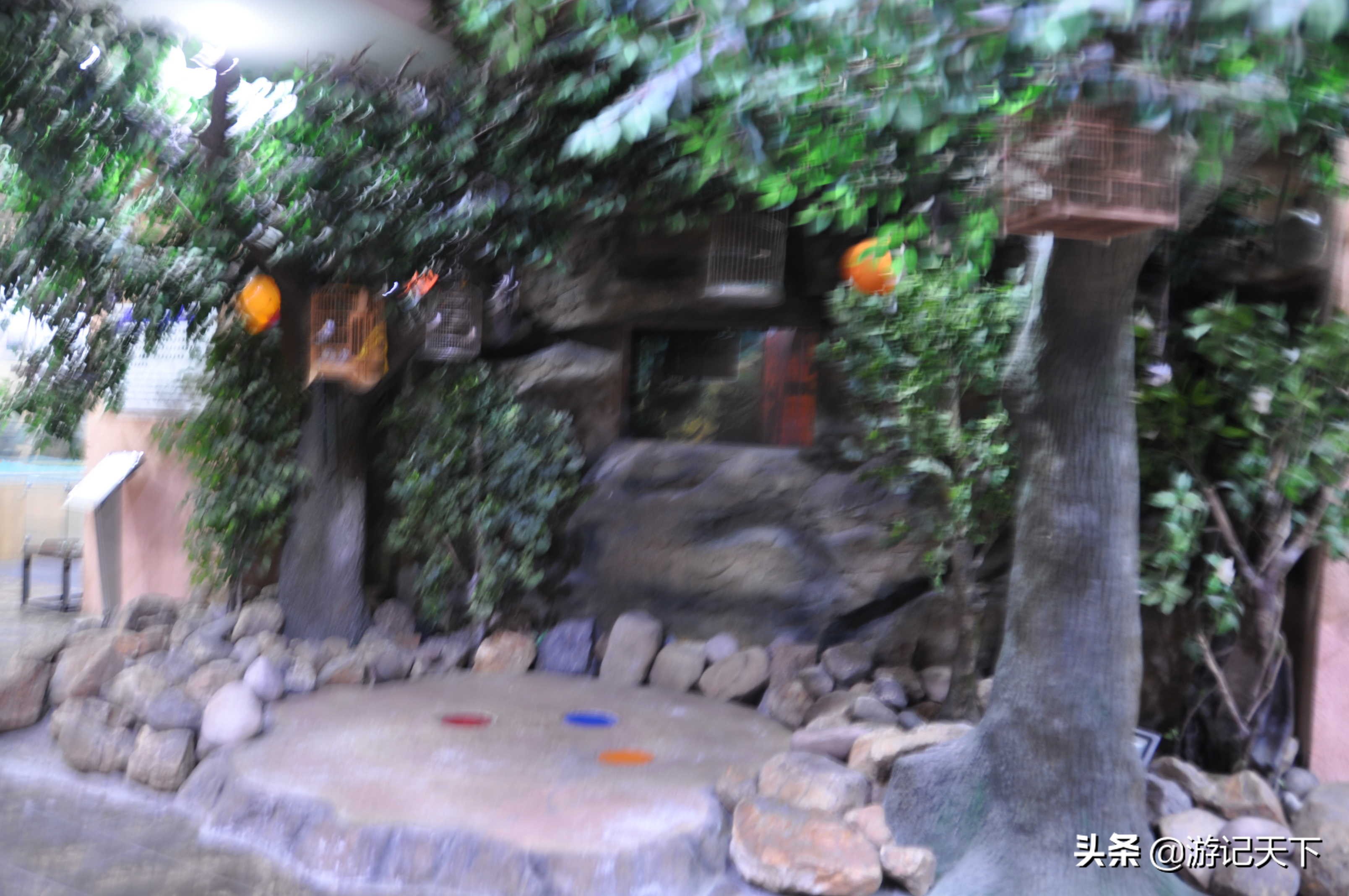 阿尼亚参观博物馆,上海地质科普馆游玩