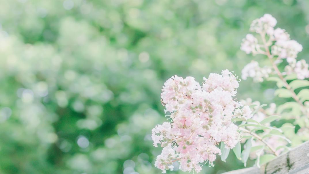 金牛女如何让双鱼男死心塌地,怎么让双鱼男彻底死心塌地